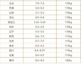 猪肉价格今日价