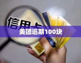 美团逾期100块花呗分期消费是什么意思