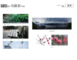 摄影作品集,摄影作品集精选解析