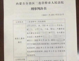 刑事判决书,公正与法治的见证
