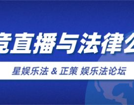 娱乐法的发展,从传统到现代的法治变革