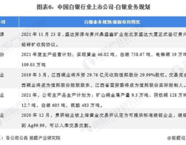 生产白银的上市公司,揭秘生产白银的上市公司风采
