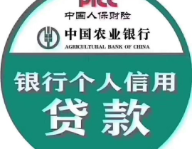 农业银行无抵押贷款,信用贷款额度与申请条件详解